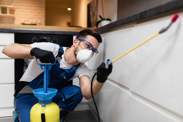 Best Flea Control Services  in Soddy Daisy, TN