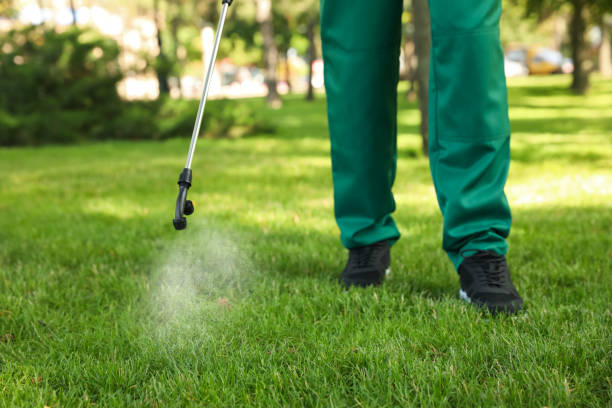 Best Termite Control Services  in Soddy Daisy, TN