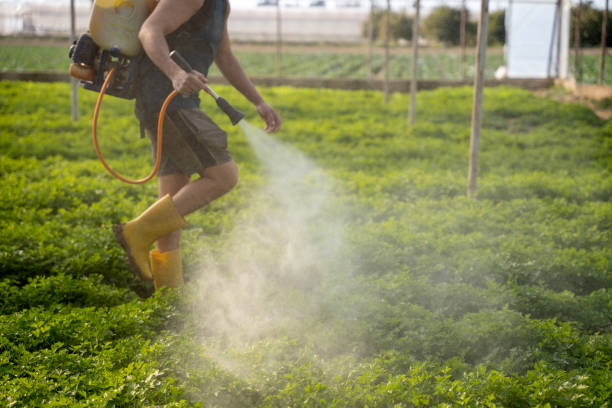 Best Pest Control for Restaurants  in Soddy Daisy, TN
